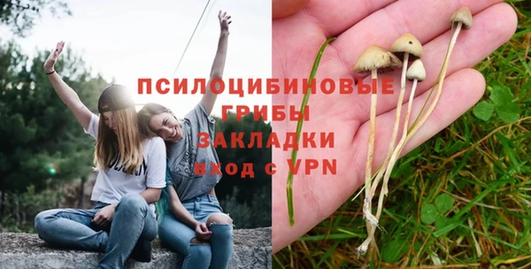 шишки Кулебаки